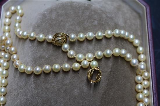 A Mikimoto pearl single strand long necklace with gold ball clasp (tests as 18ct) in Mikimoto box, 50 cm.